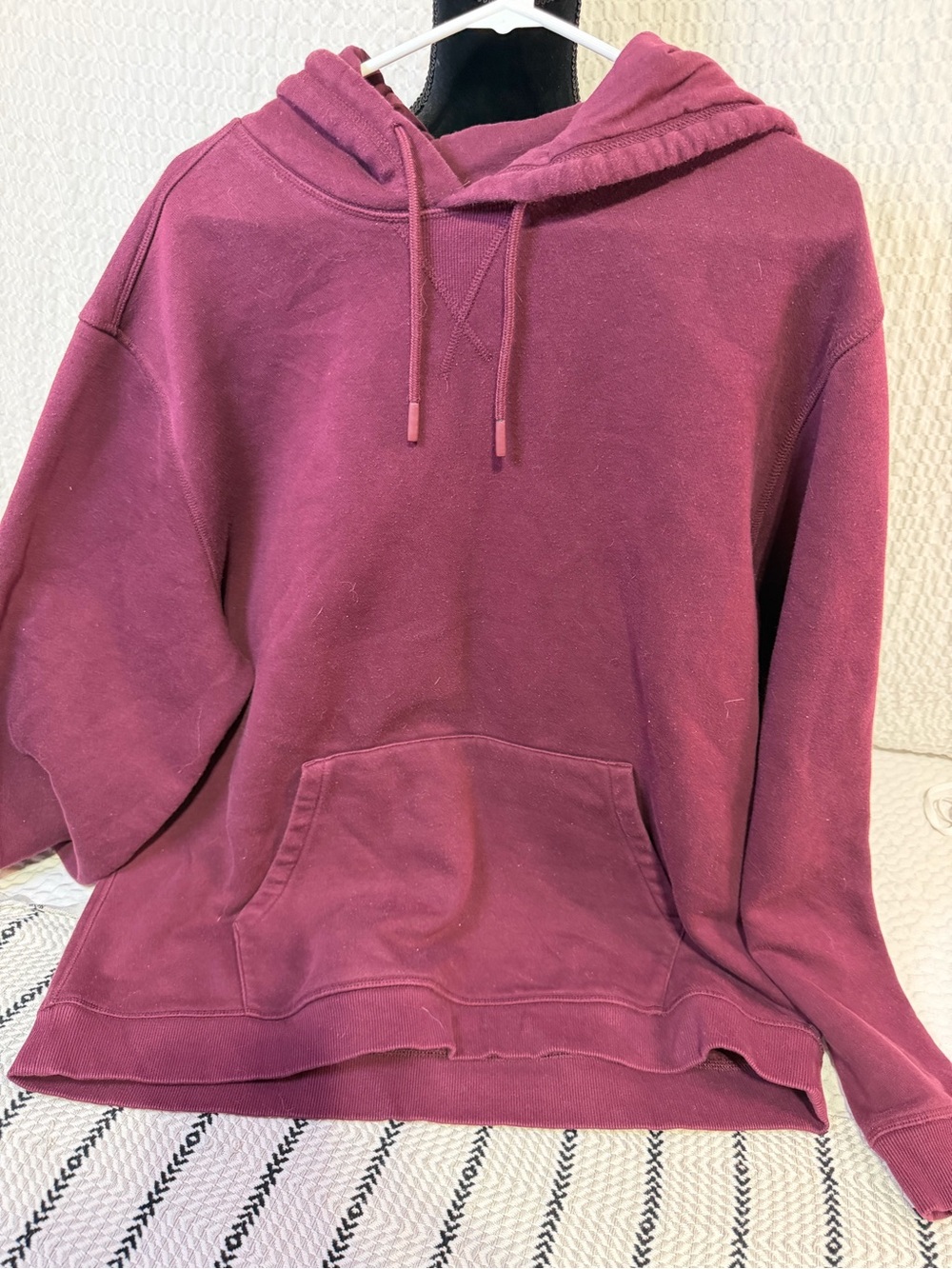 DSG Pullover Hoodie in Plum